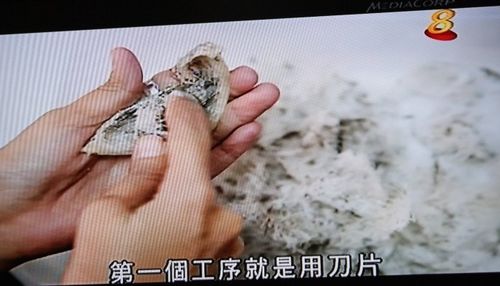 燕窝是什么东西炼的