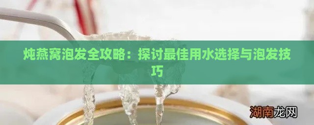 炖燕窝泡发全攻略：探讨更佳用水选择与泡发技巧