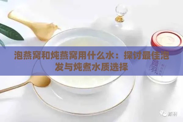 泡燕窝和炖燕窝用什么水：探讨更佳泡发与炖煮水质选择