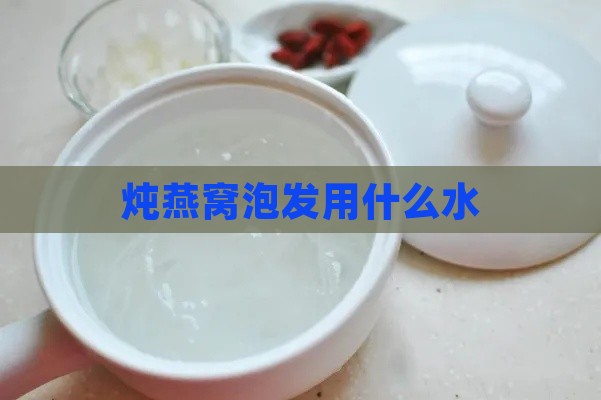 炖燕窝泡发用什么水