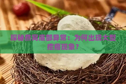 探秘燕窝底部异常：为何出现大型疙瘩现象？