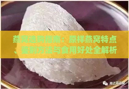 燕窝选购指南：原样燕窝特点、鉴别方法与食用好处全解析