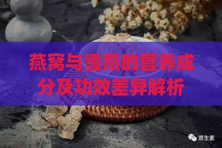 燕窝与雪燕的营养成分及功效差异解析