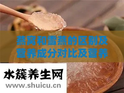 燕窝和雪燕的区别及营养成分对比及营养价值分析