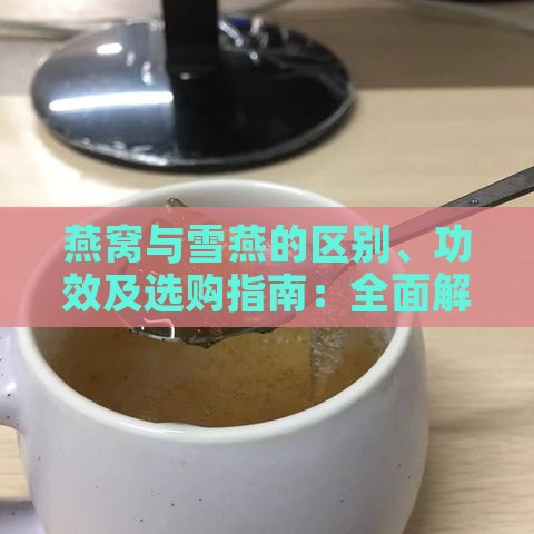 燕窝与雪燕的区别、功效及选购指南：全面解析两者的异同与适用人群