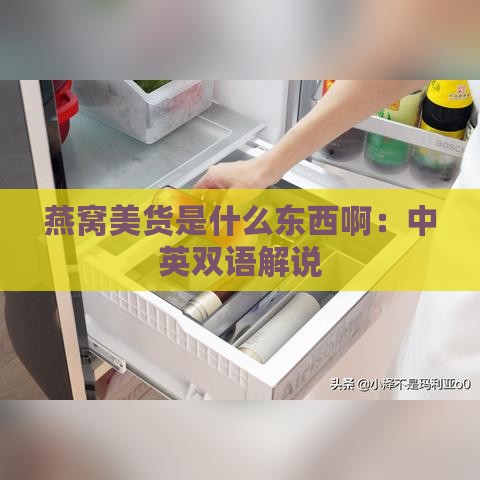 燕窝美货是什么东西啊：中英双语解说