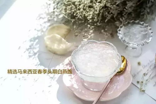 '揭秘燕窝美货：探究其独特成分与制作原料'