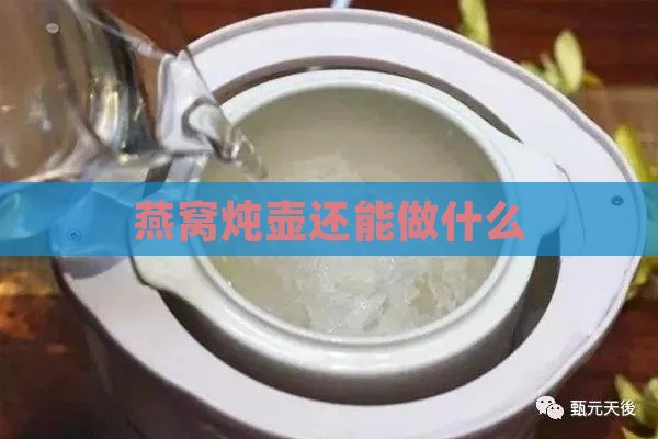 燕窝炖壶还能做什么