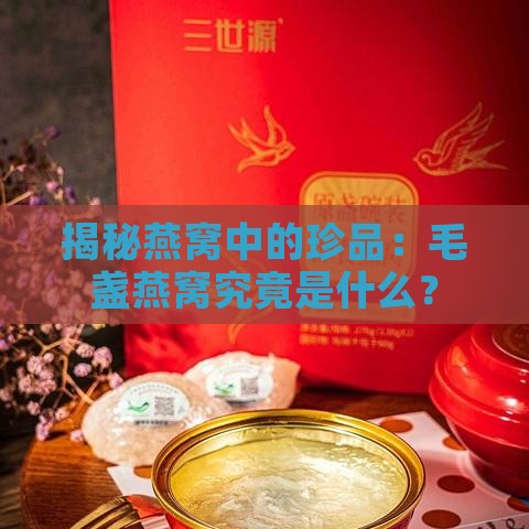 揭秘燕窝中的珍品：毛盏燕窝究竟是什么？