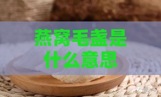 燕窝毛盏是什么意思