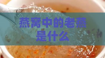 燕窝中的老燕是什么