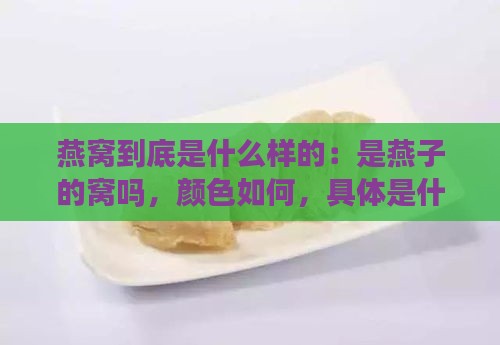 燕窝到底是什么样的：是燕子的窝吗，颜色如何，具体是什么样子？