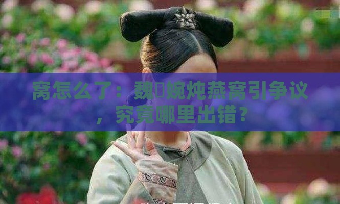 窝怎么了：魏嬿婉炖燕窝引争议，究竟哪里出错？