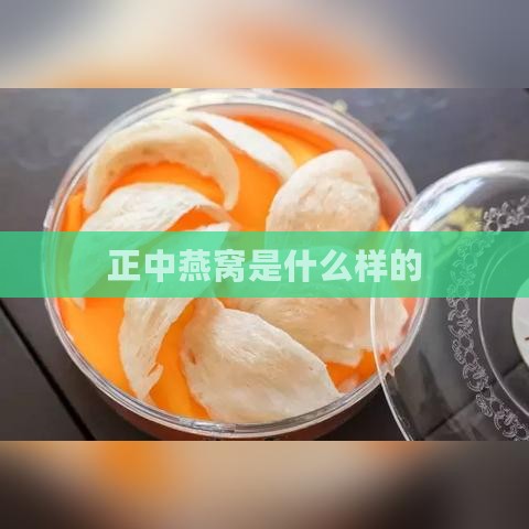 正中燕窝是什么样的