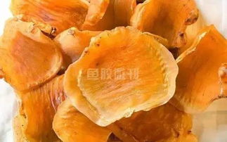 燕窝花胶搭配指南：全面解析多种食用方法与营养功效