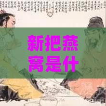 新把燕窝是什么意思