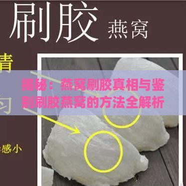 揭秘：燕窝刷胶真相与鉴别刷胶燕窝的方法全解析