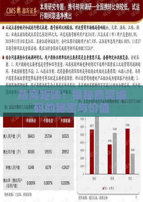 燕窝矩阵：揭秘燕窝编码的秘密与价值