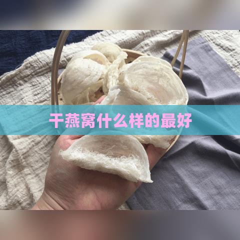 干燕窝什么样的更好