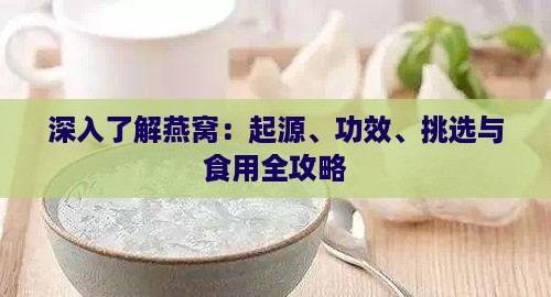 深入了解燕窝：起源、功效、挑选与食用全攻略