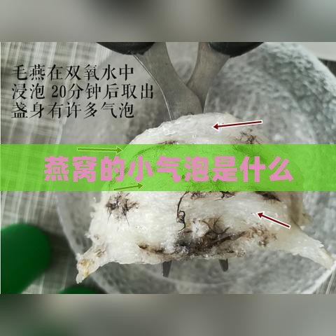 燕窝的小气泡是什么