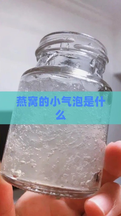 燕窝的小气泡是什么