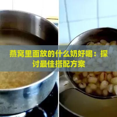 燕窝里面放的什么奶好喝：探讨更佳搭配方案