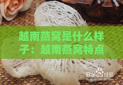 越南燕窝是什么样子：越南燕窝特点与价格，THP燕窝多少钱一盒