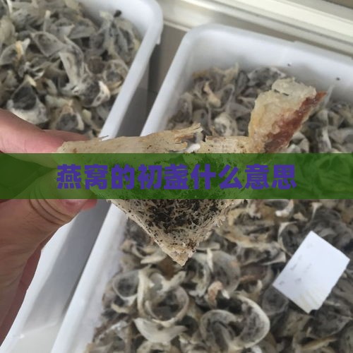 燕窝的初盏什么意思