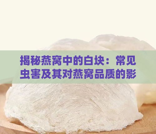 揭秘燕窝中的白块：常见虫害及其对燕窝品质的影响