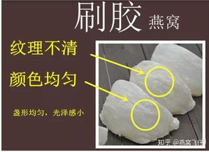 揭秘燕窝中白色小点的成因、成分及食用安全性