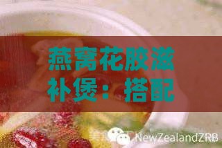 燕窝花胶滋补煲：搭配哪些食材更佳