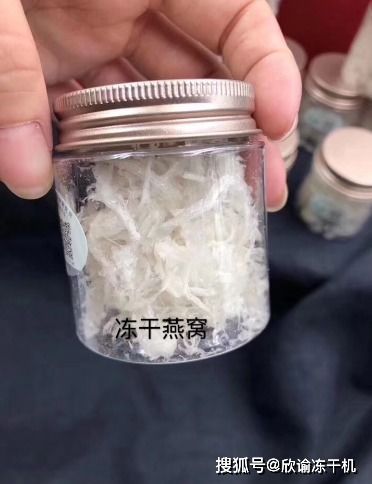 探究冻干燕窝的营养价值与功效