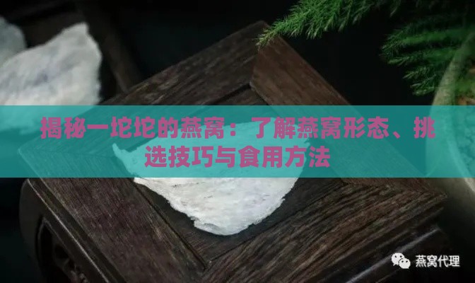 揭秘一坨坨的燕窝：了解燕窝形态、挑选技巧与食用方法