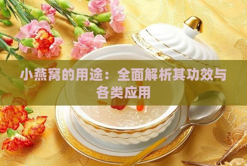 小燕窝的用途：全面解析其功效与各类应用