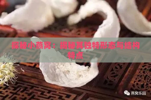 探秘小燕窝：揭秘其独特形态与结构特点