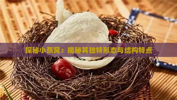 探秘小燕窝：揭秘其独特形态与结构特点