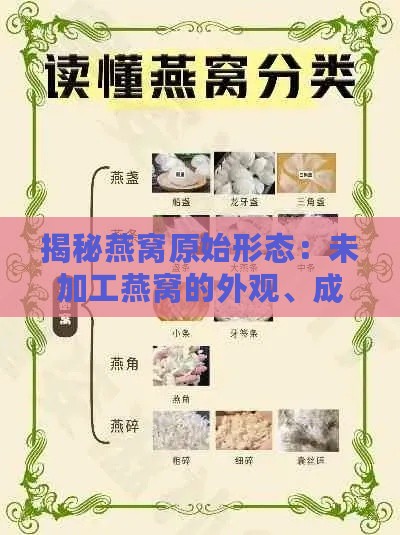 揭秘燕窝原始形态：未加工燕窝的外观、成分与挑选要点全解析