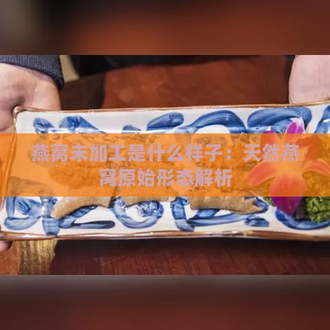 燕窝未加工是什么样子：天然燕窝原始形态解析