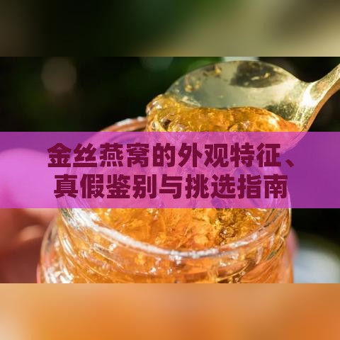 金丝燕窝的外观特征、真假鉴别与挑选指南