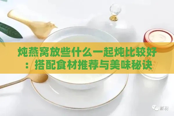 炖燕窝放些什么一起炖比较好：搭配食材推荐与美味秘诀