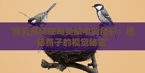 '探究燕窝在鸟类眼中的色彩：揭秘燕子的视觉秘密'