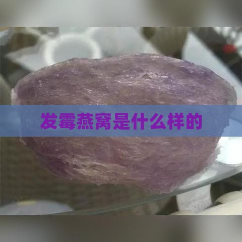 发霉燕窝是什么样的