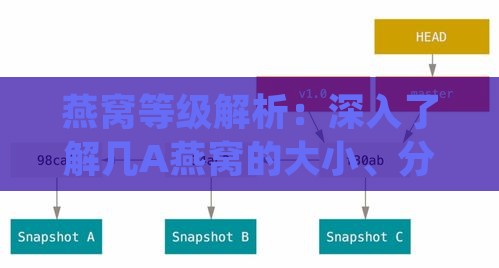 燕窝等级解析：深入了解几A燕窝的大小、分类及其营养价值差异