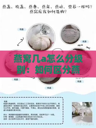 燕窝几a怎么分级别：如何区分燕窝等级与划分标准