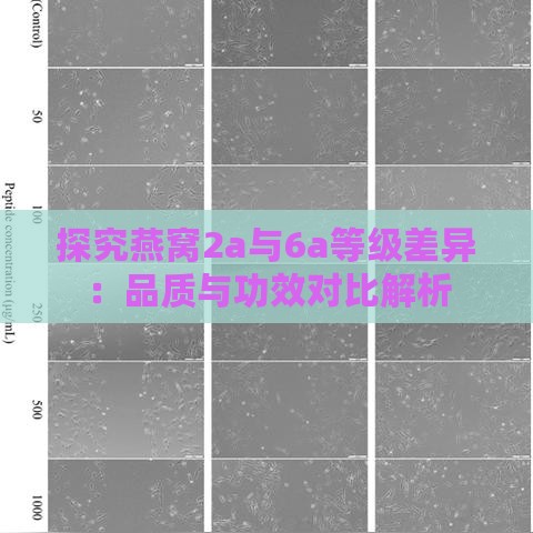 探究燕窝2a与6a等级差异：品质与功效对比解析