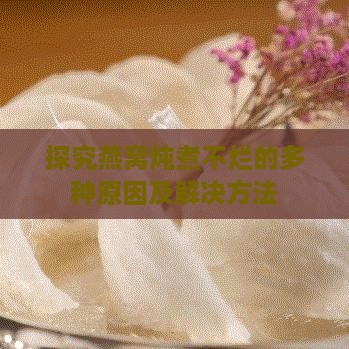 探究燕窝炖煮不烂的多种原因及解决方法