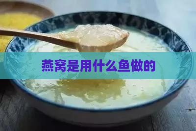 燕窝是用什么鱼做的