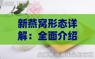 新燕窝形态详解：全面介绍燕窝的种类、外观特征与形成过程