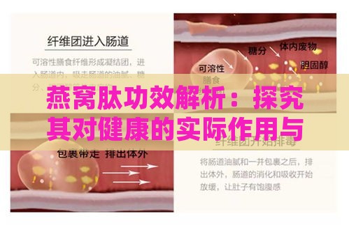 燕窝肽功效解析：探究其对健康的实际作用与价值